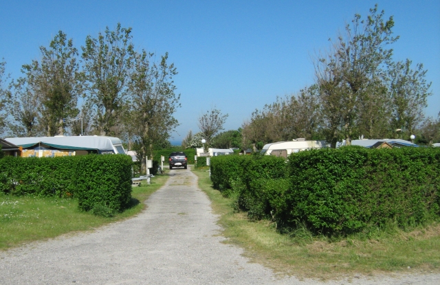 caravans and campervans behind hedgerows at ambleteuse campsite
